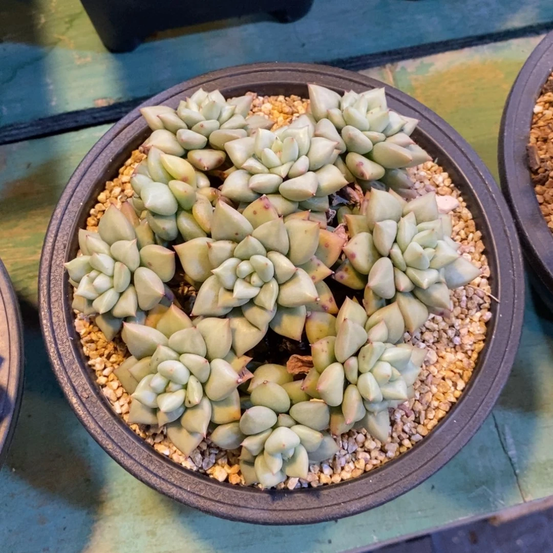 自然科学是人类社会的基本
