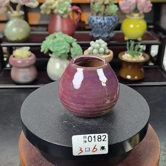 多肉拇指花盆编号0182