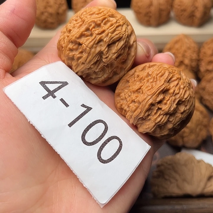 核桃40狮子头4100