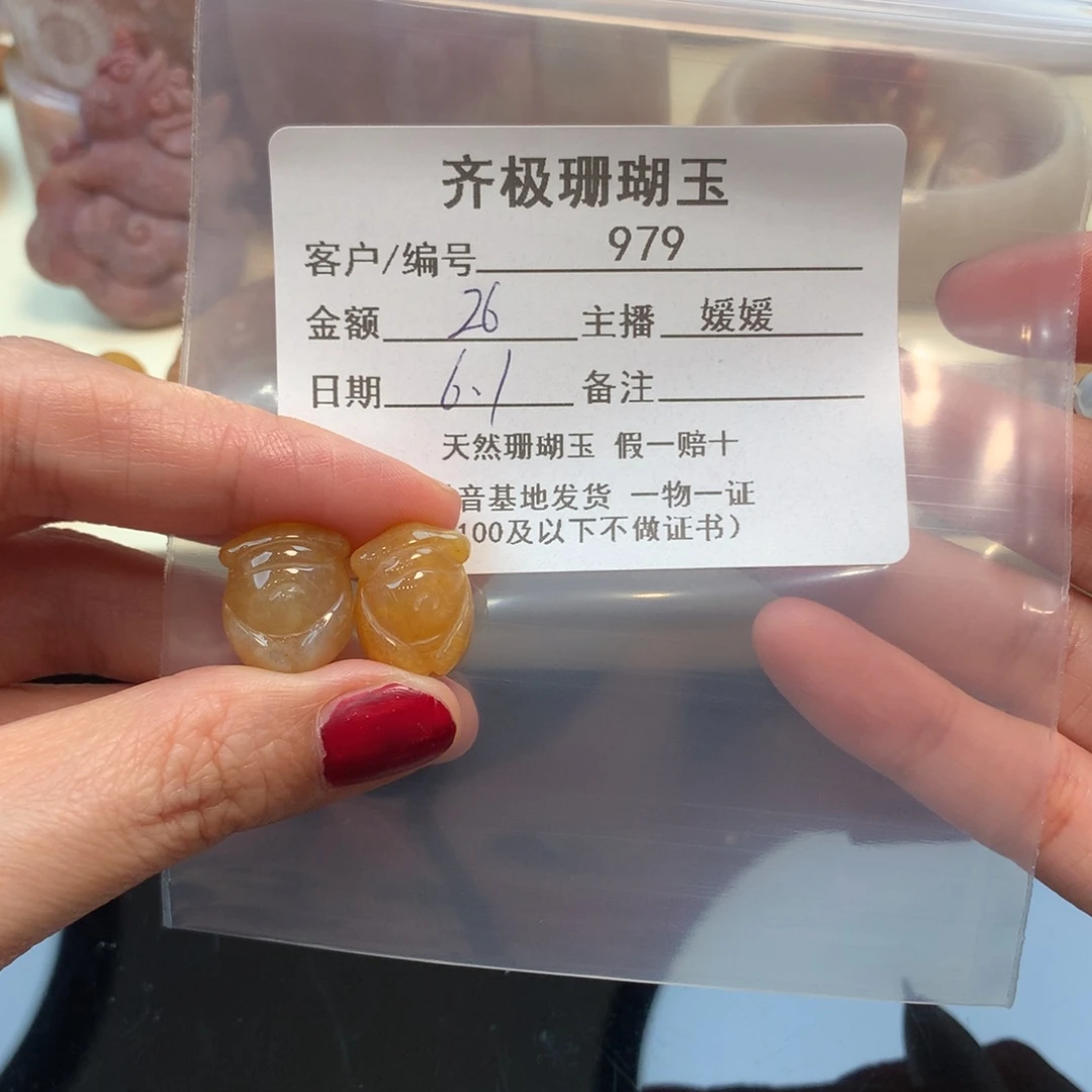 硅化珊瑚（珊瑚玉）未镶嵌颈饰