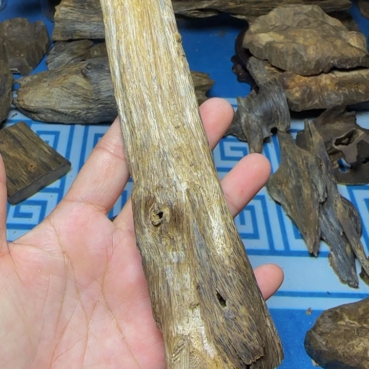 木质绿奇陆河虫漏40克