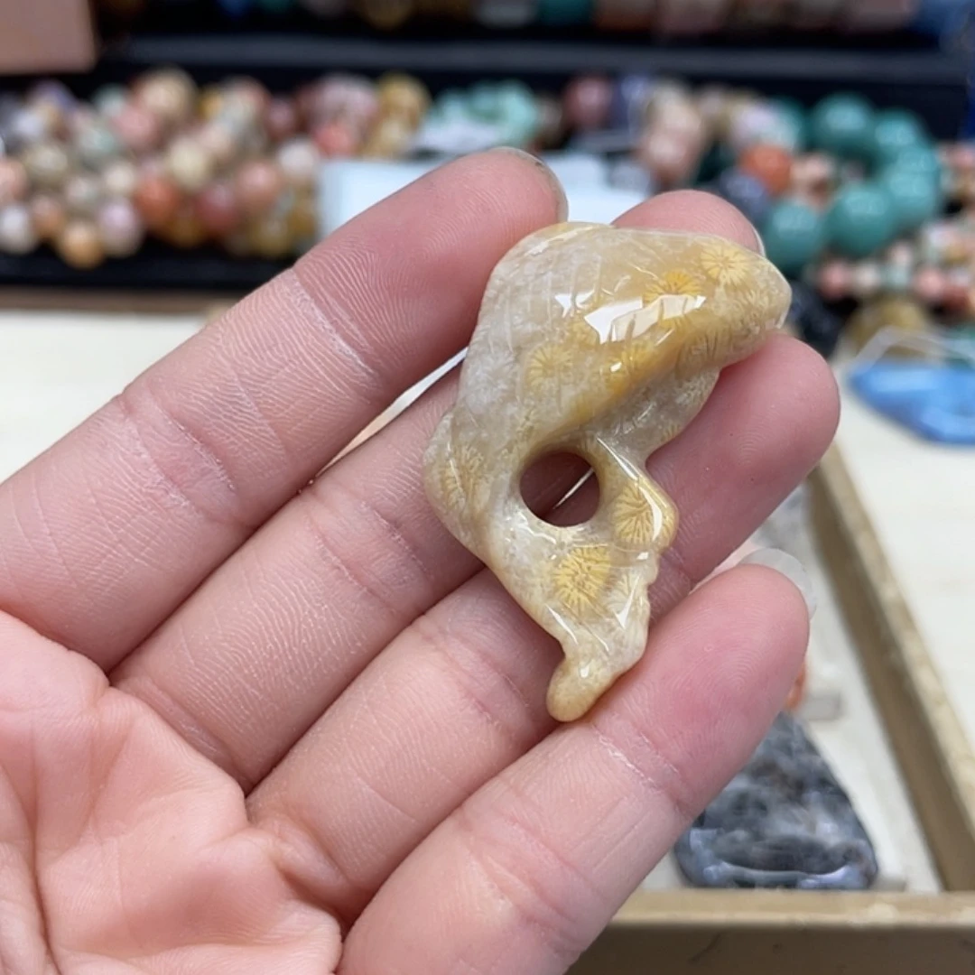 未镶嵌手串硅化珊瑚（珊瑚玉）云*泽164