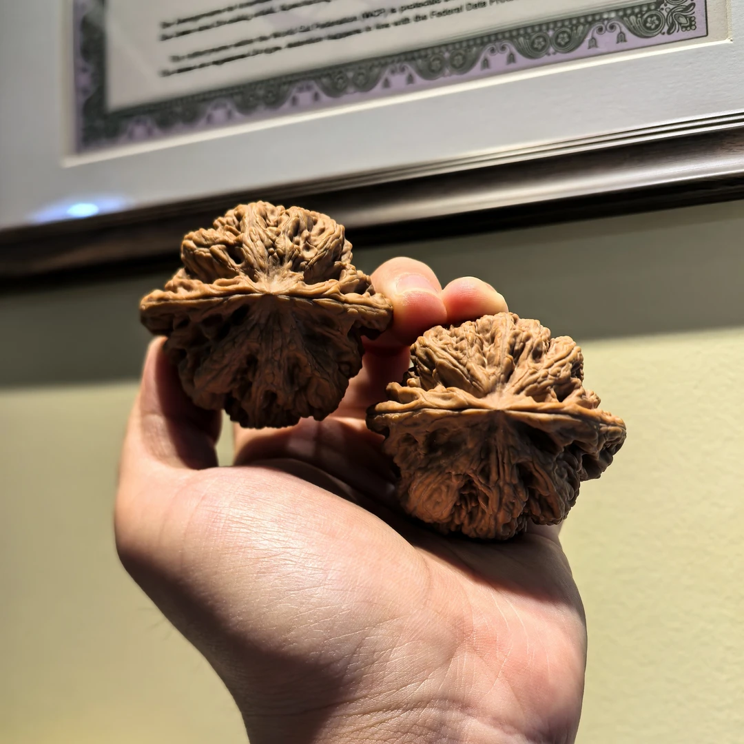 文玩核桃四座楼狮子头官帽手把件机刷包浆麻核桃把玩男士古玩