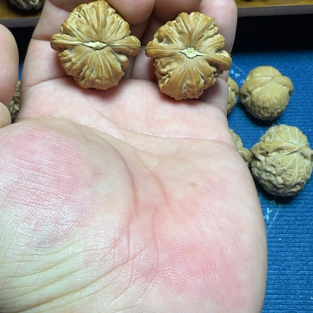 文玩核桃把件全品33白狮子手捻
