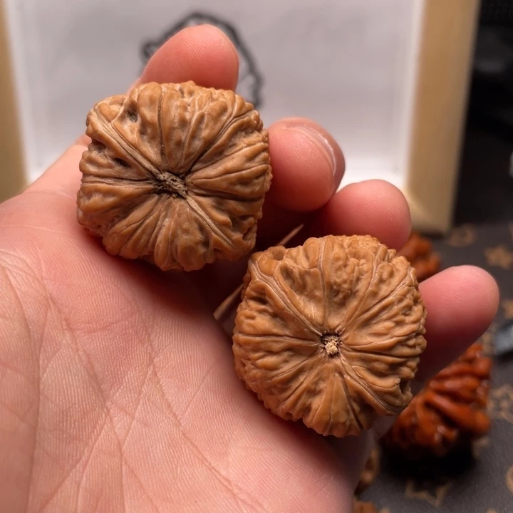 核桃金蝉子文玩核桃