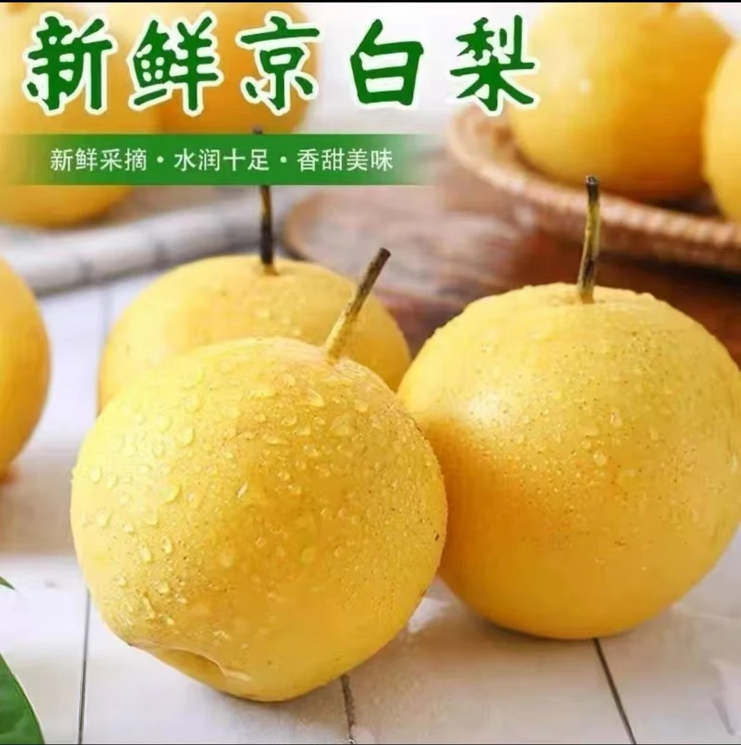 [顺丰]正宗辽宁京白梨东北特产新鲜水果软糯甜香饱满多汁产地直发