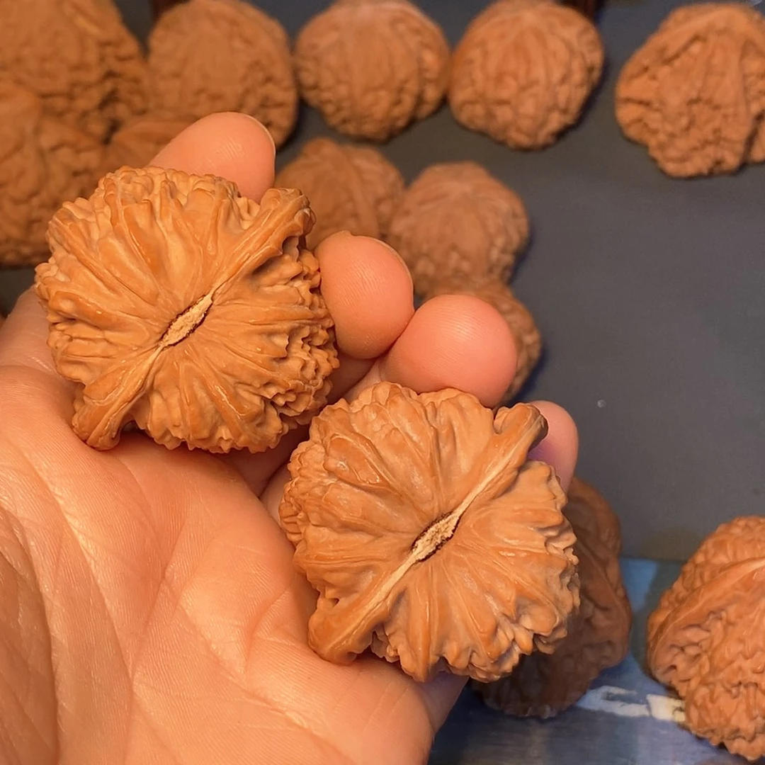 把件文玩核桃白狮子42尺