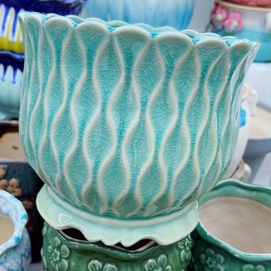 多肉绿植陶瓷花盆9.9包邮，有空