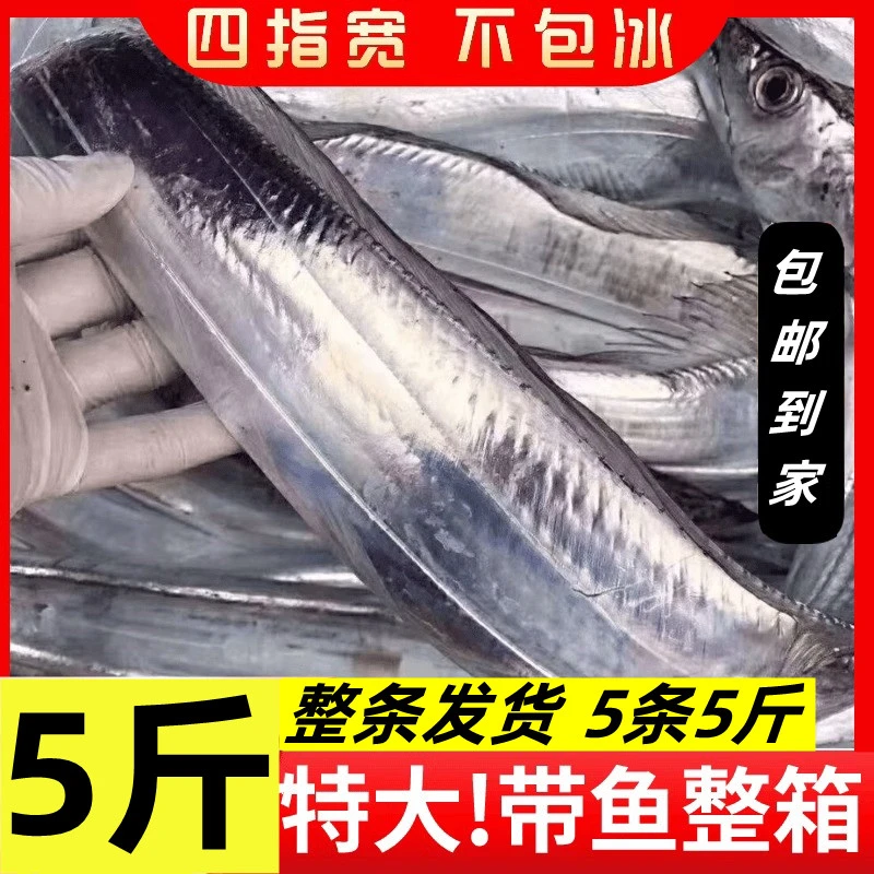 新鲜海捕特大号带鱼冷冻整条发货鲜活海鱼整箱5斤包邮