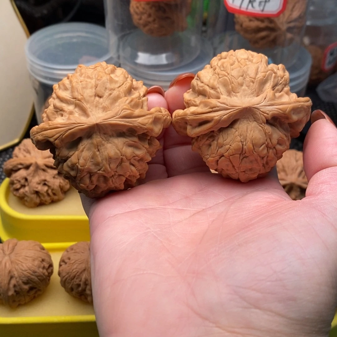 手串/手链橄榄核龙鼎56全品