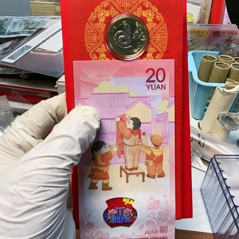 塑料蛇钞一钞一币红包，，，，，，，，