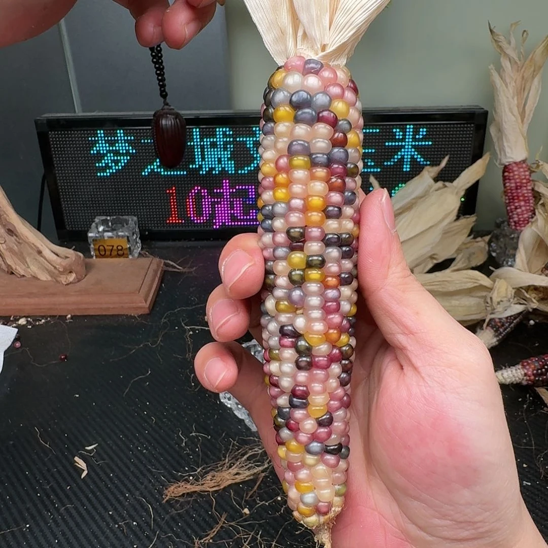 柏香籽/百香籽吊坠三*