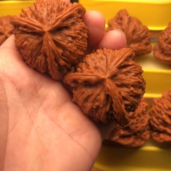 达***儿核桃核桃核桃核桃核桃