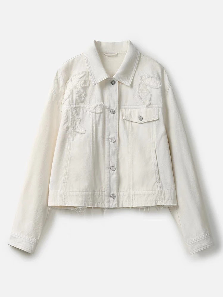 B～商场同款毛边绣设计短外套女时尚翻领上衣