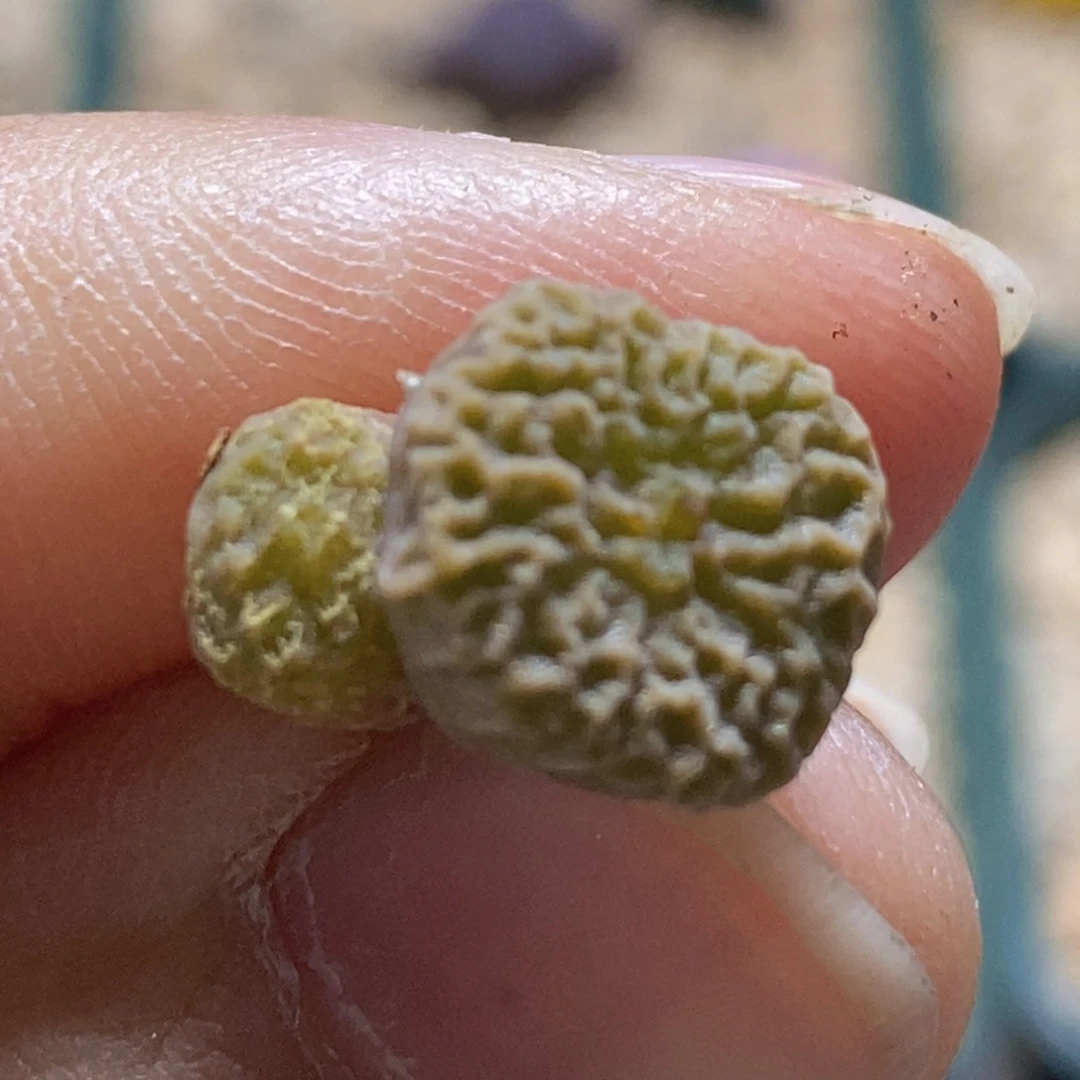 好看好看好看2-0928