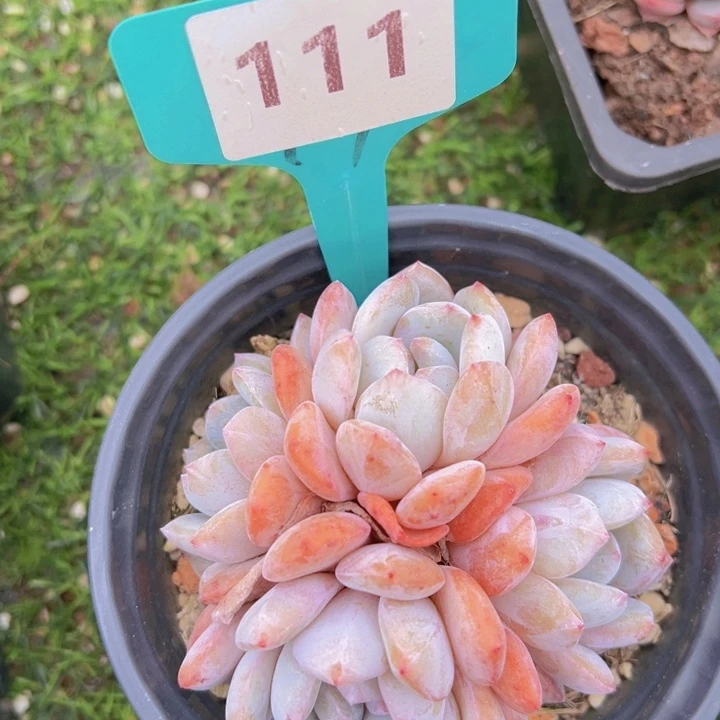 健健康康平平安安