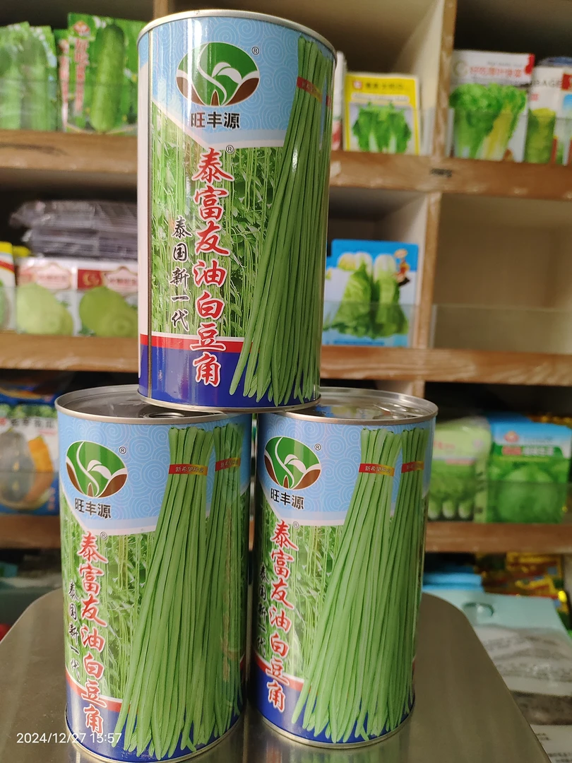 包邮500克泰系泰富友白籽油白豆角种子白籽油白豇豆种子