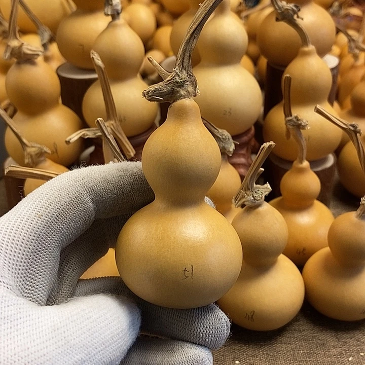 文玩葫芦 完美主义者 慎拍51