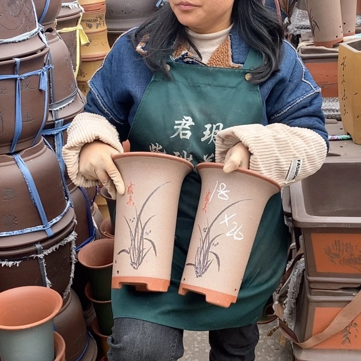 紫砂花盆盆栽花卉苗木种植