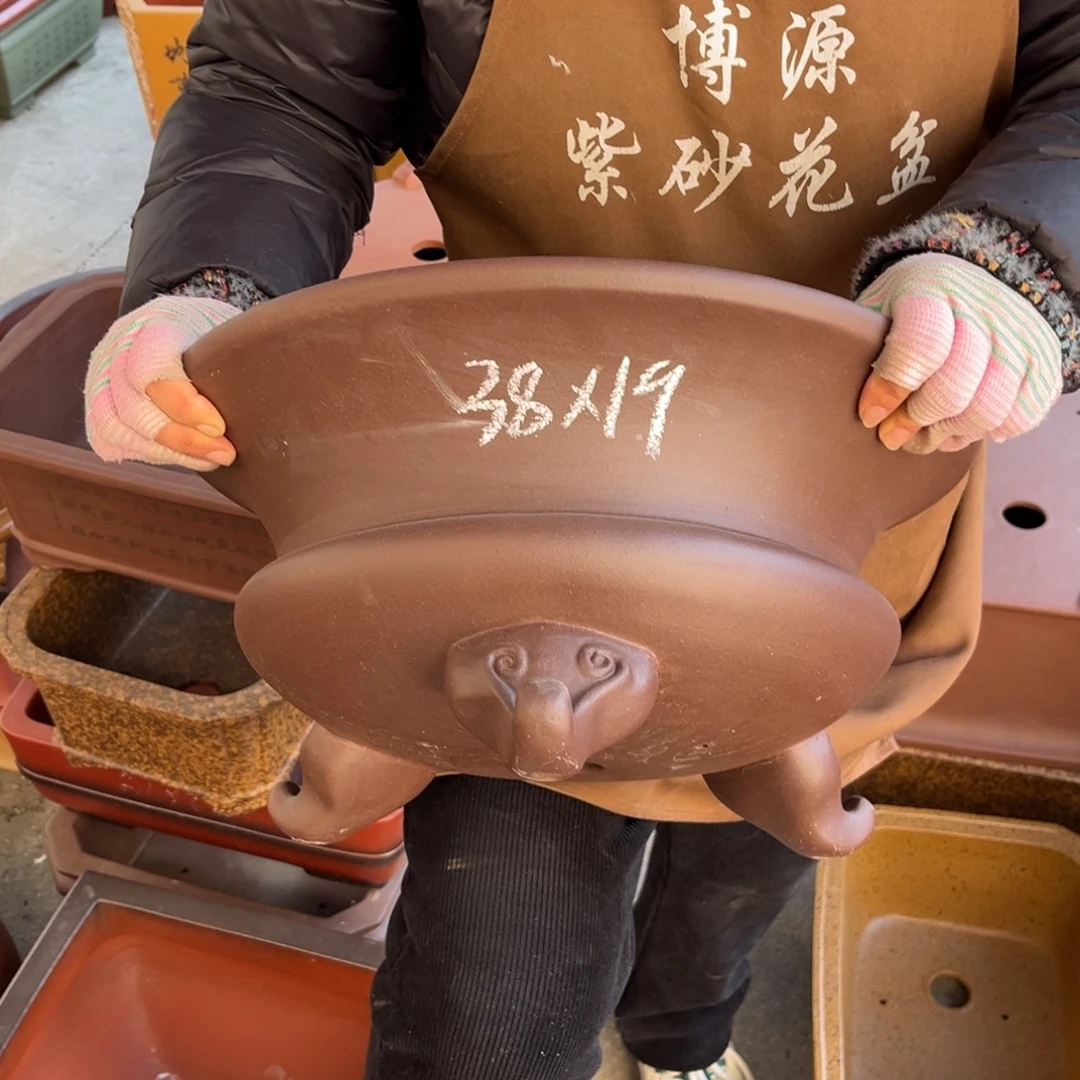 花盆紫砂盆景艺术