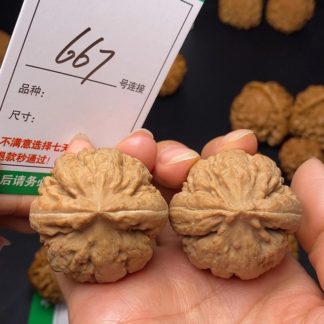 文玩核桃吊坠667霸王龙3.9全品