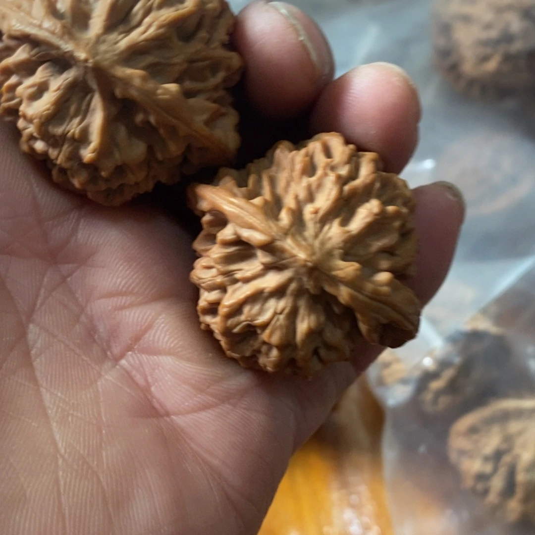 嘴*秦岭南侧和东北北部部分地