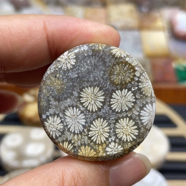 硅化玉未镶嵌颈饰k49