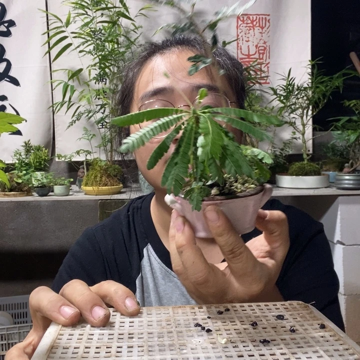 时***3无花朵一物一拍306