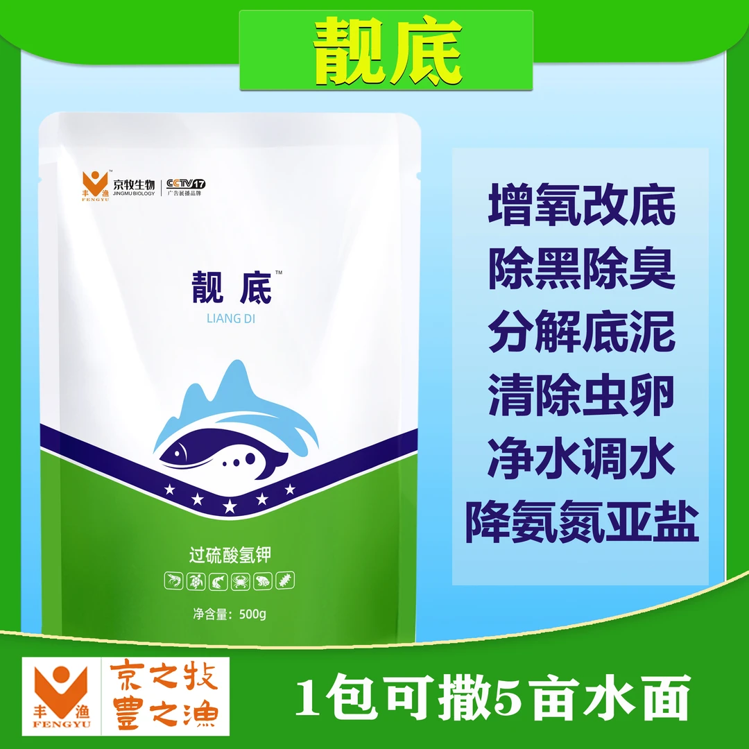 丰渔正品靓底过硫酸氢钾改底泡腾片黑底除臭净化水质氧化除藻氨氮