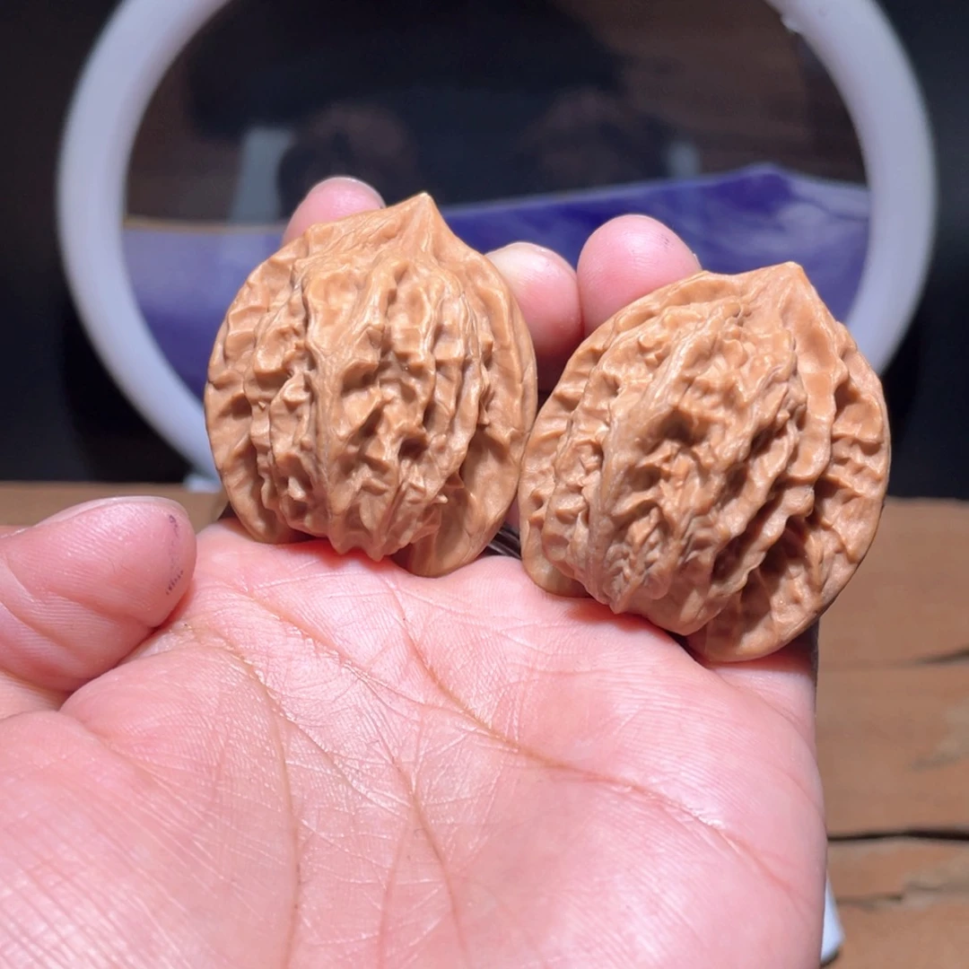 S539。  36尺。  大龙