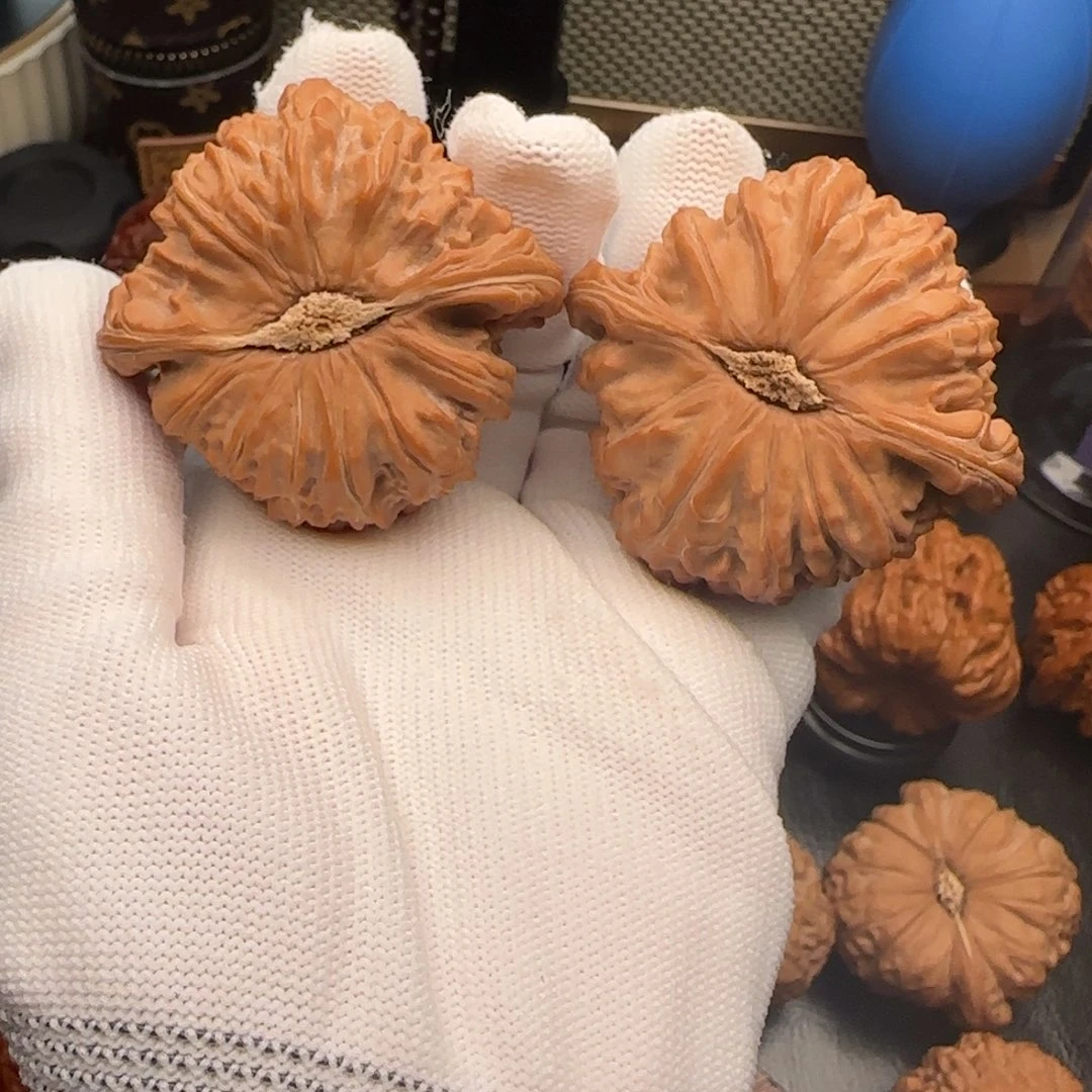 江**樵小冉核桃全品球白50