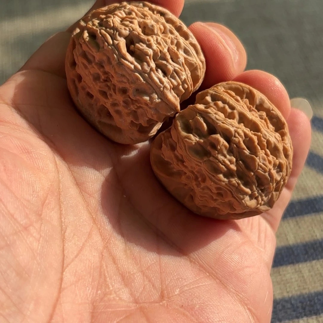 文玩核桃把件白狮子