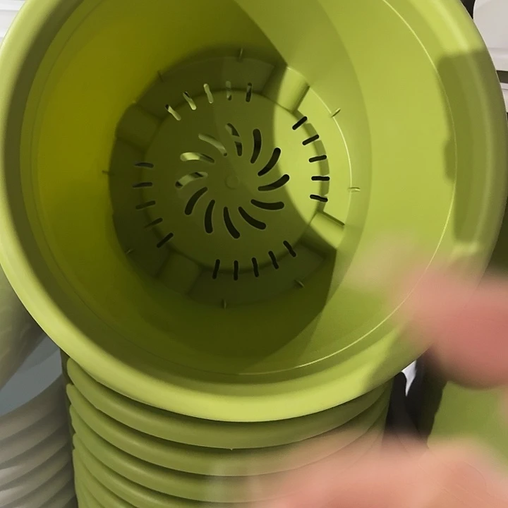 四季9号果绿无拖4个特价