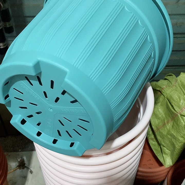 罗马口32蓝3个带托