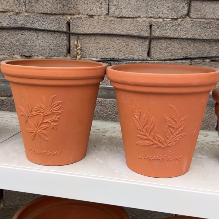 21×20 拍一发二红陶