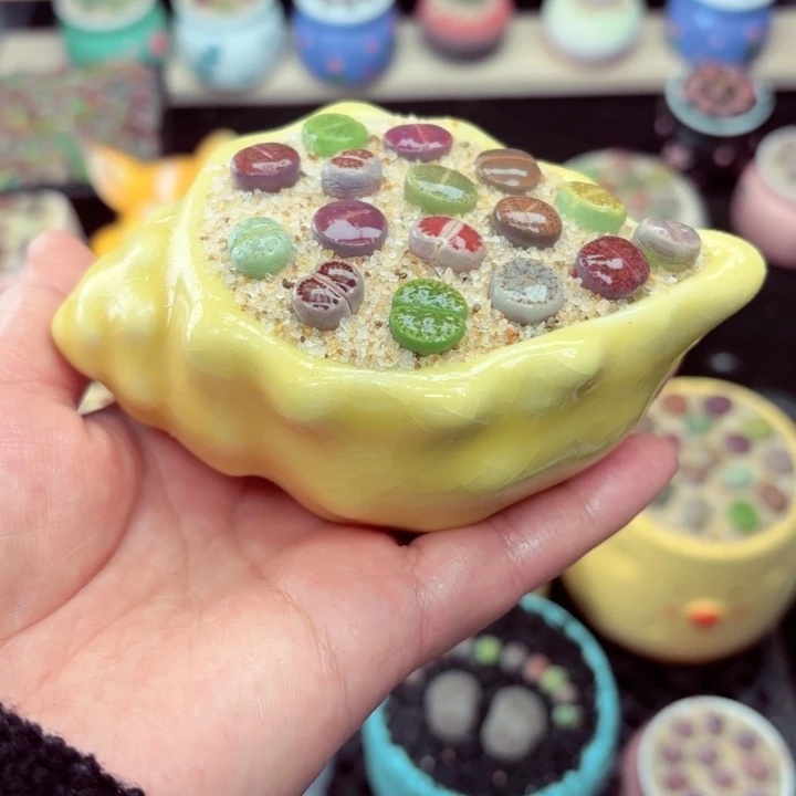 509零下地区记得拍保温箱