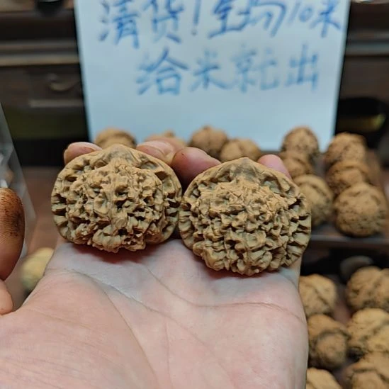 肉文大官帽啊啊啊啊啊啊