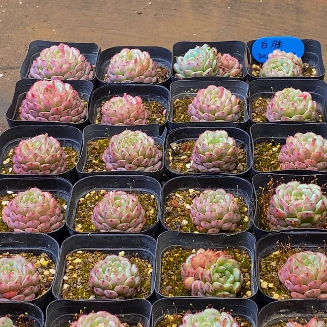 154的人在一起的时候就