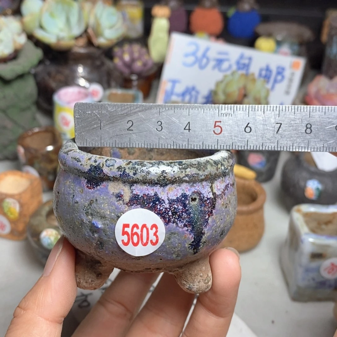 拍3送一个小礼物