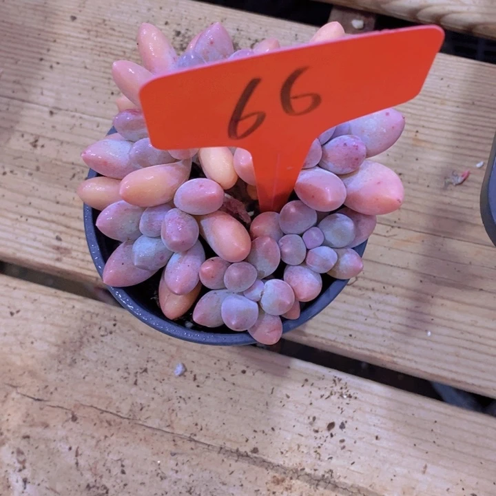 这个点就不应该喝