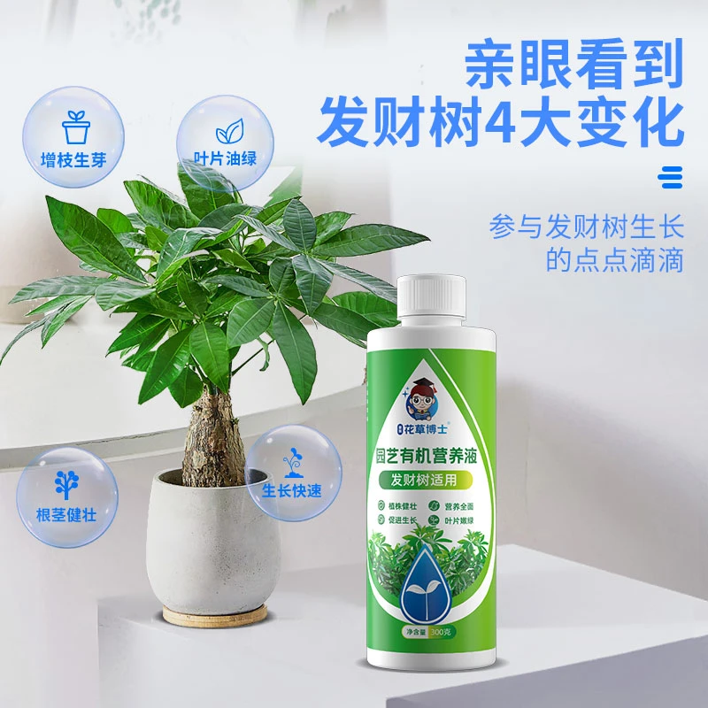 家用发财树专用营养液花卉绿植水培通用型植物液体肥料