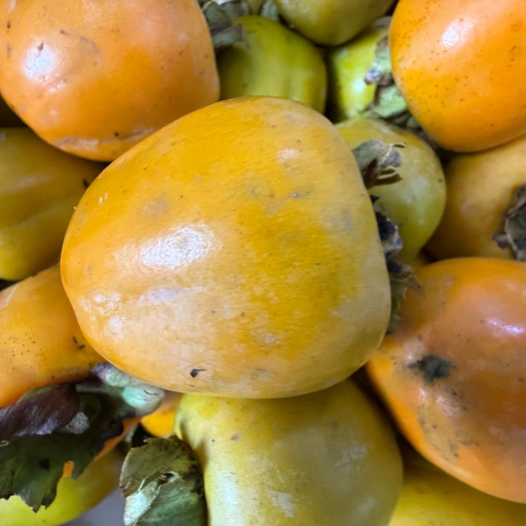 千岛湖贡品老柿子原生态山区新鲜采摘皮薄肉厚包邮