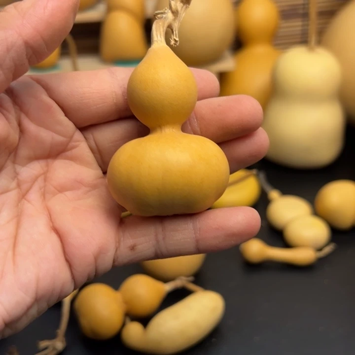 三****～葫芦葫芦葫芦葫芦葫芦