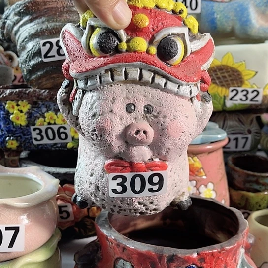 红陶多肉植物花盆