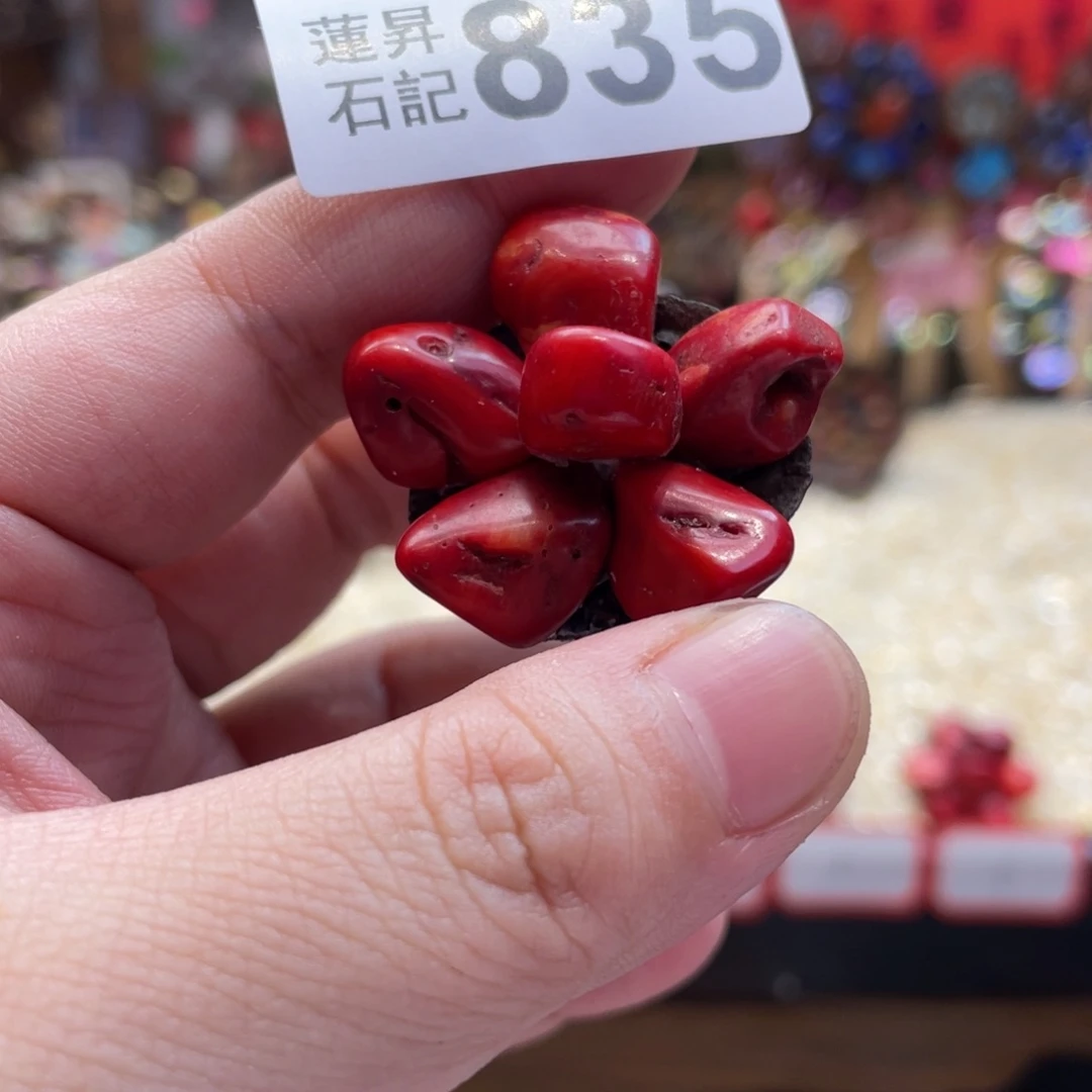 核桃木/黑胡桃（胡桃木）安****子835