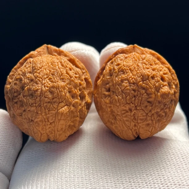 42尺寸老款滇狮绣球-精品云南野生铁核桃天然文玩手把件一物一图