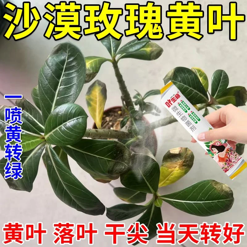 沙漠玫瑰专用药黄叶掉叶枯枝不开花专用绿叶壮苗促开花微生物菌肥
