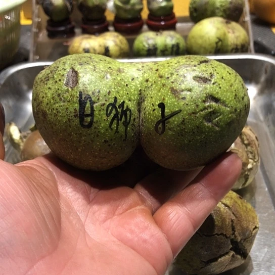 吊坠桃核核桃核桃