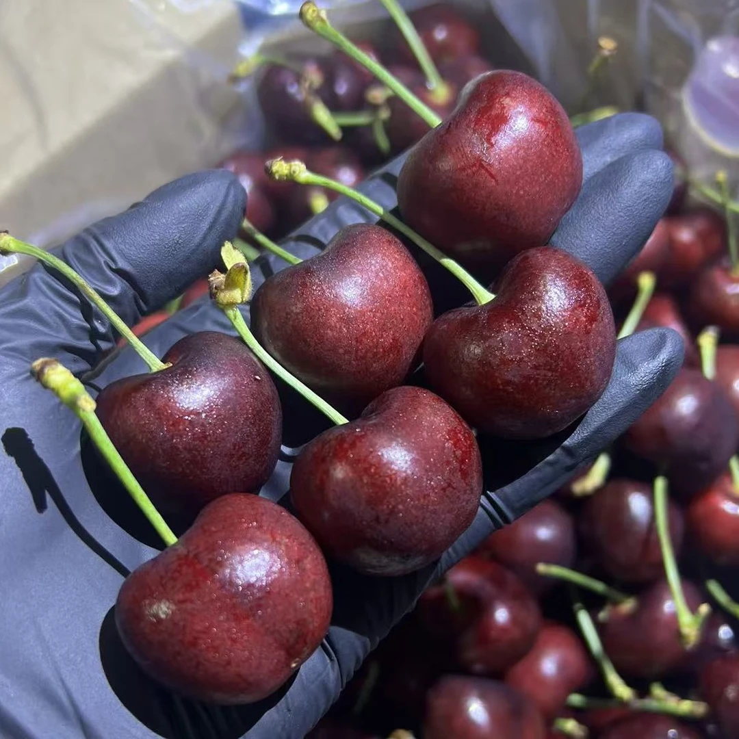 【阿蔡甄选4J】智利进口海运阿雅娜车厘子4J 5斤起内附果径卡