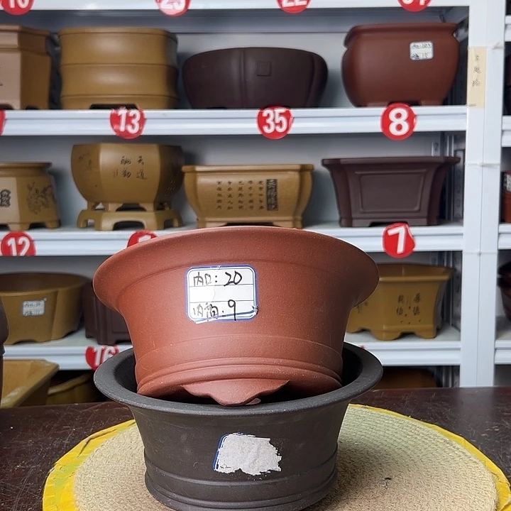 花盆紫砂你在一起